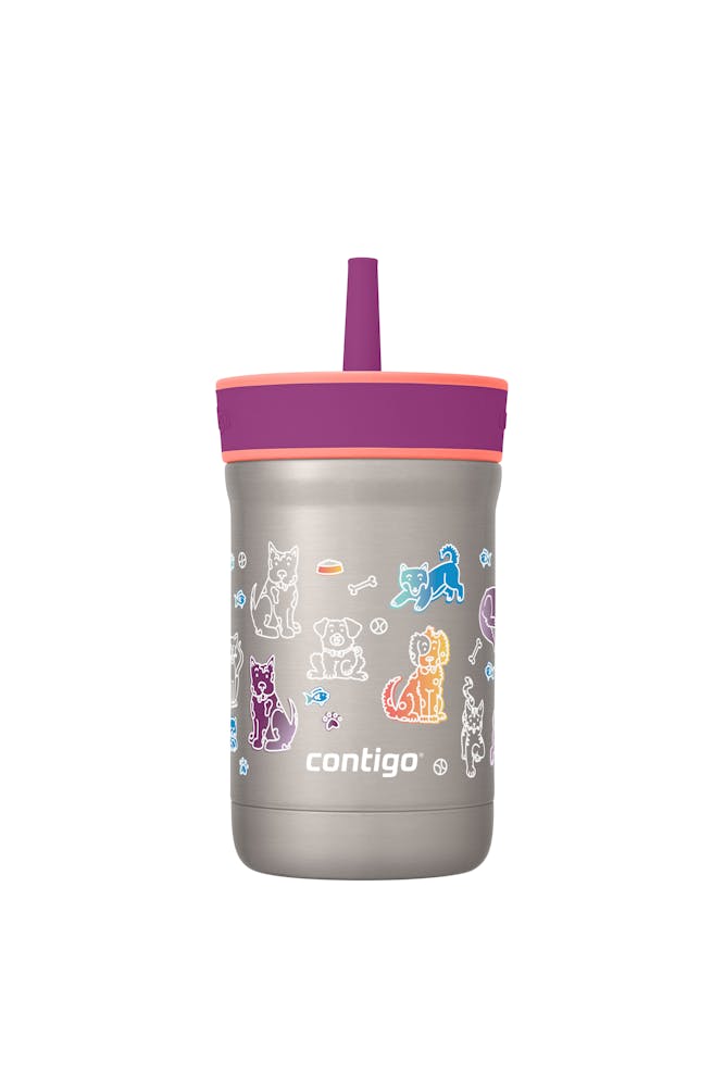 Contigo® Kids Leighton Spill-Proof Stainless Steel Tumbler with Straw, 12oz xdOV